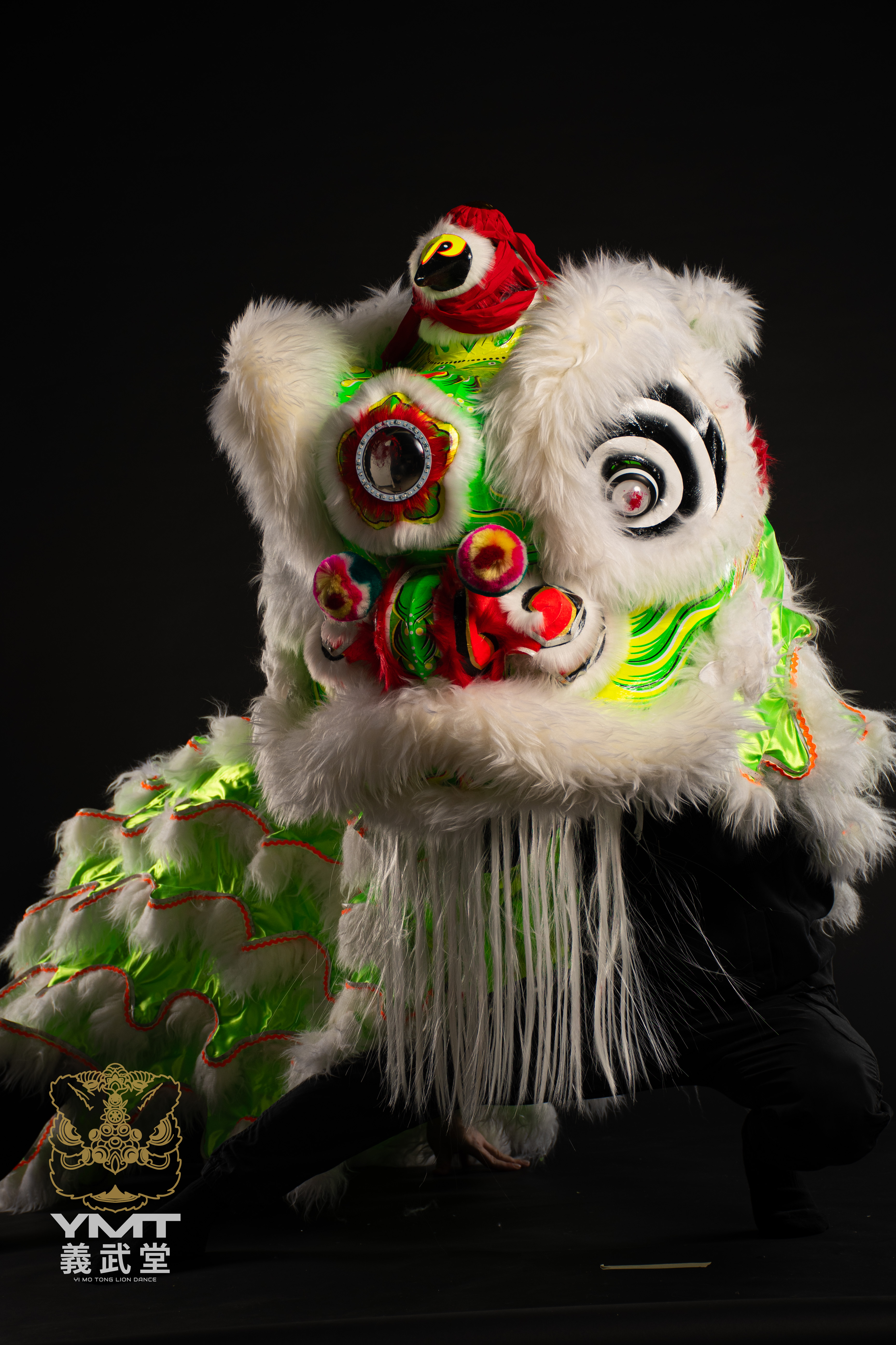 lion picture L2 White/Green